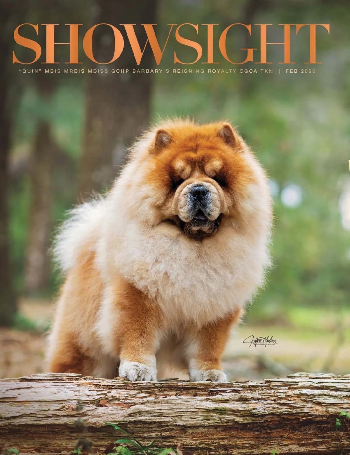 Showsight Magazine | February 2026 cover