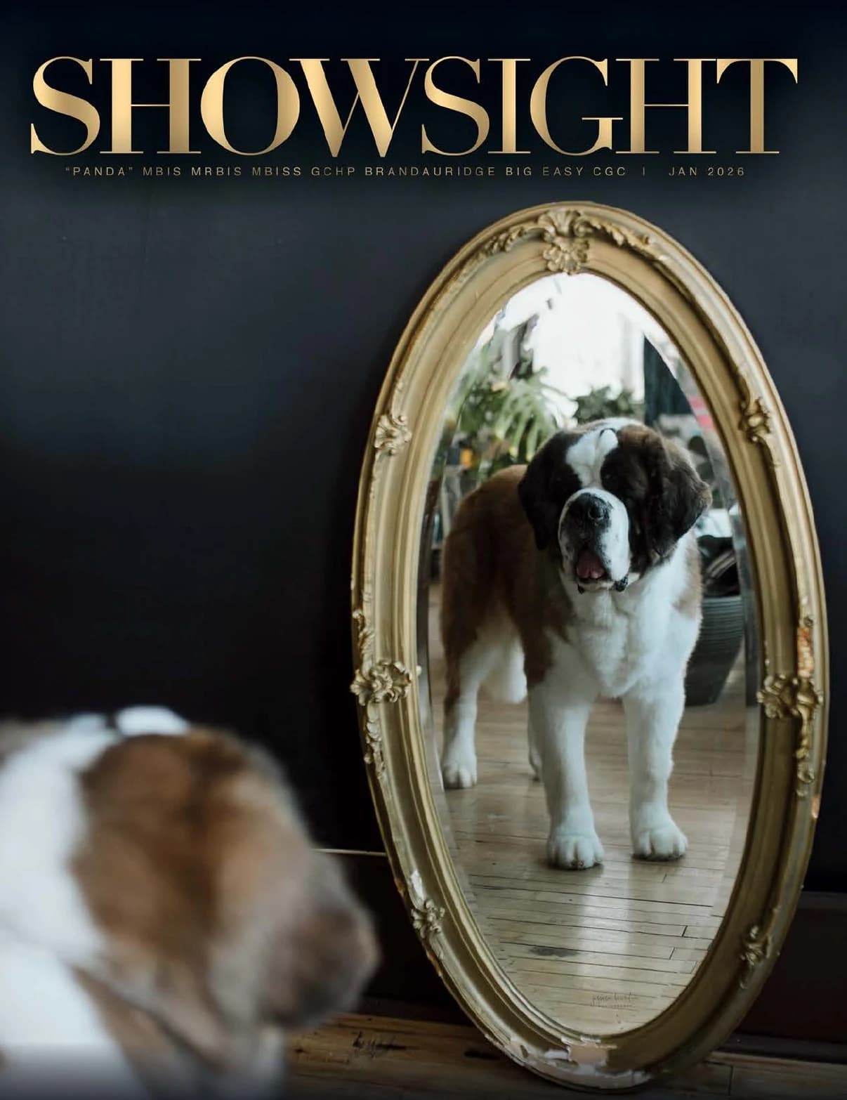 Showsight Magazine | January 2026 cover