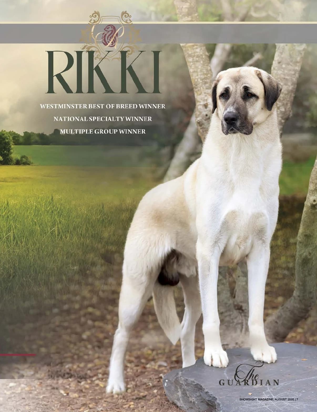 GCHG CHEVALIERS DU ROLAND'S RIKKI-TIKKI-TAVI in Showsight Magazine | August 2026, page 11