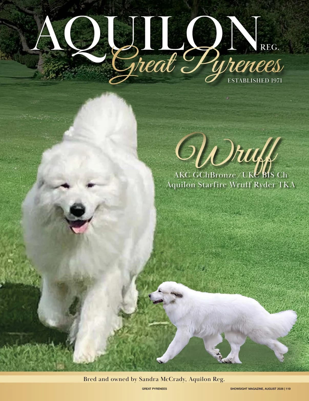 GCHB CH AQUILON STARFIRE WRUFF RYDER TKA in Showsight Magazine | August 2026, page 123