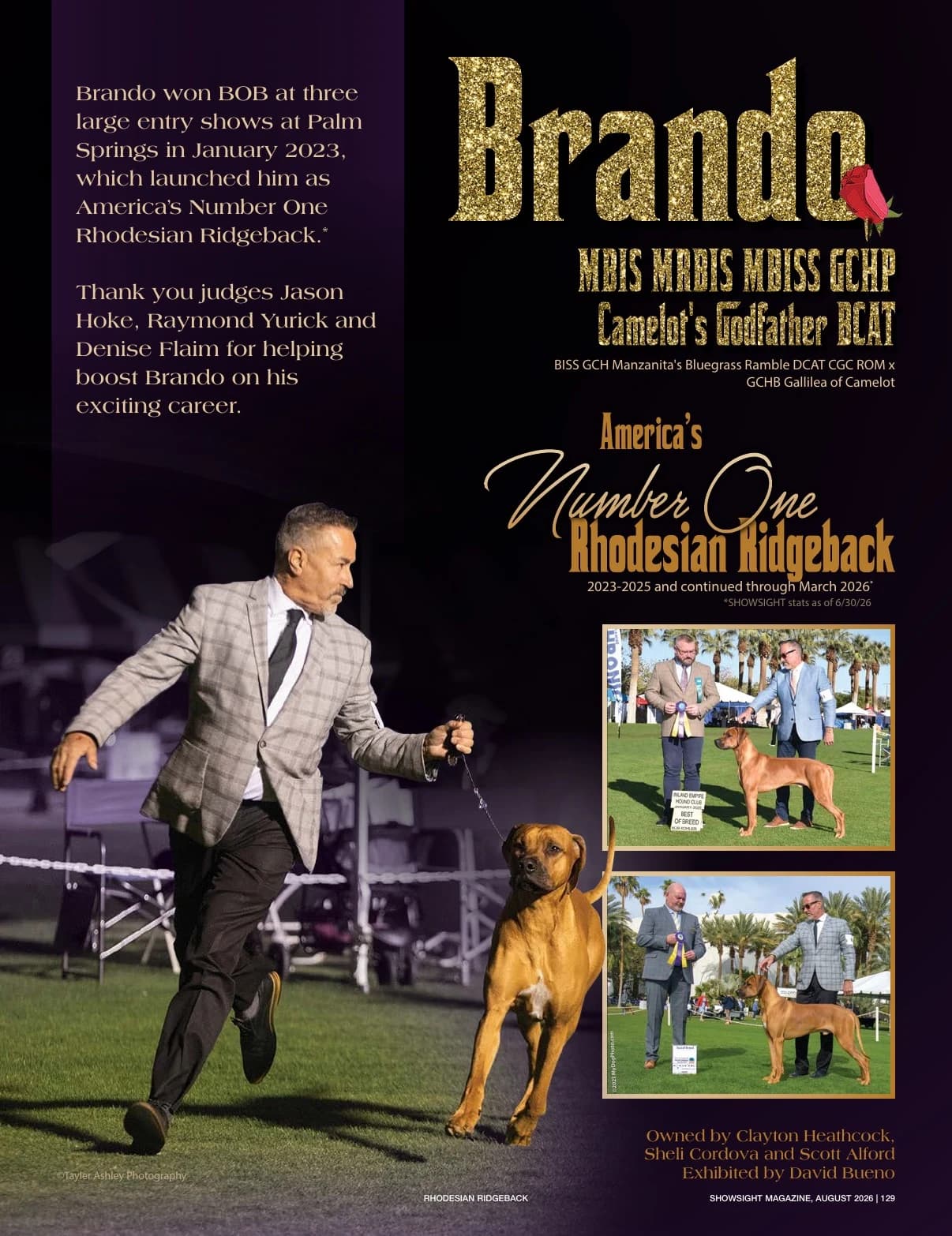 GCHP CAMELOT'S GODFATHER BCAT in Showsight Magazine | August 2026, page 133