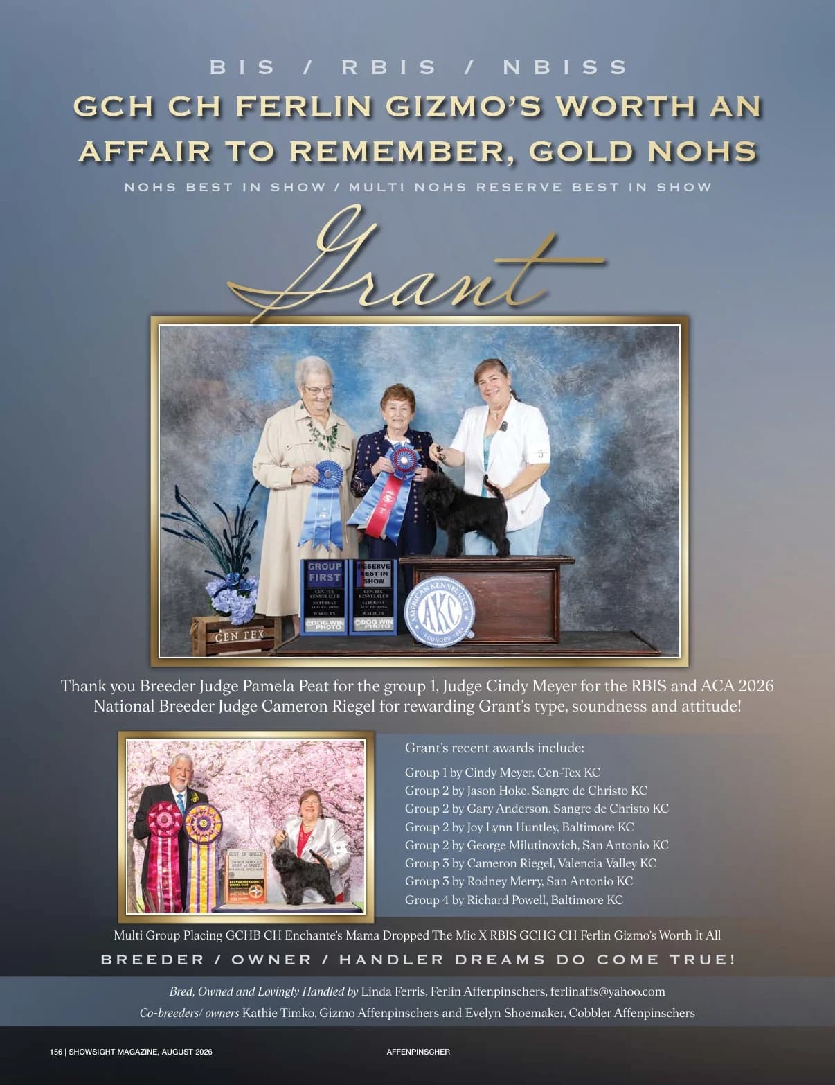 GCH CH FERLIN GIZMO'S WORTH AN AFFAIR TO REMEMBER in Showsight Magazine | August 2026, page 160