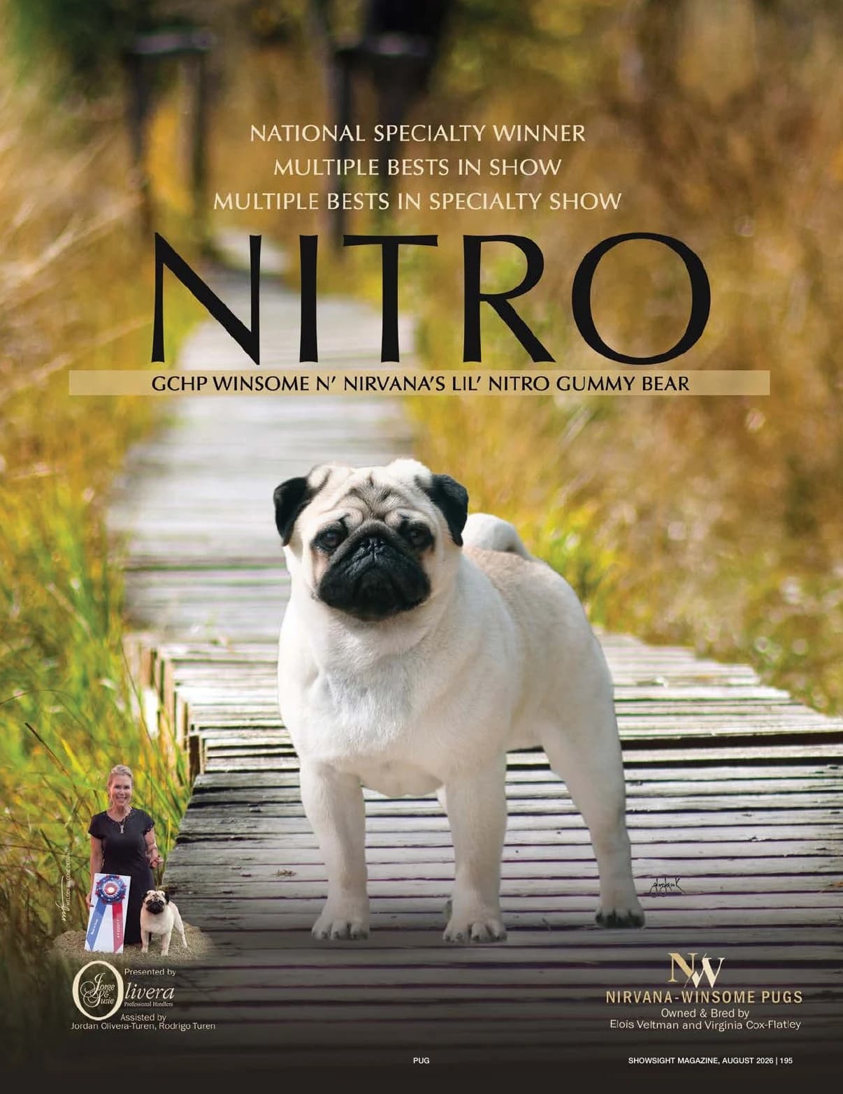 GCHP CH WINSOME N' NIRVANA'S LIL' NITRO GUMMY BEAR in Showsight Magazine | August 2026, page 201