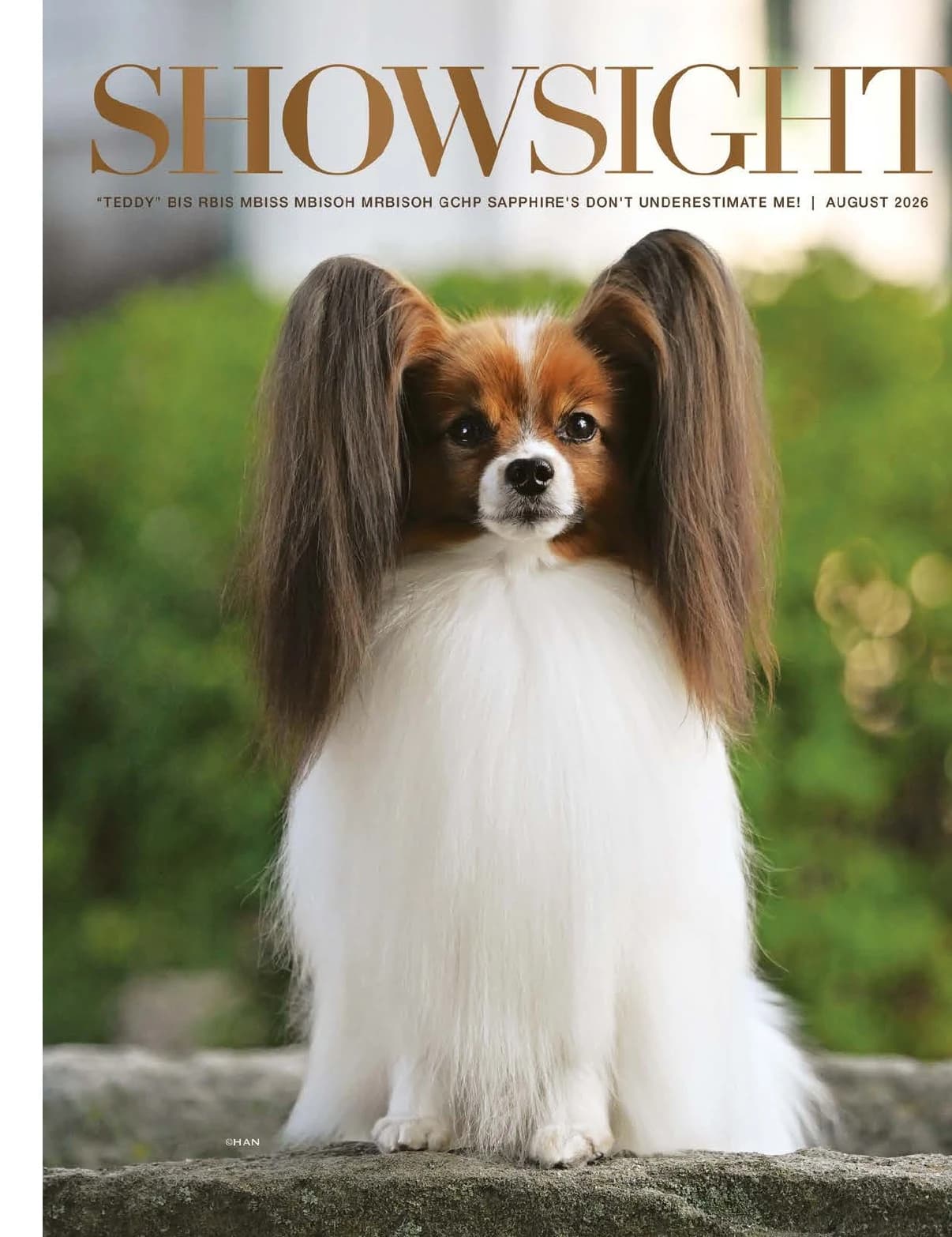 GCHP CH SAPPHIRE'S DON'T UNDERESTIMATE ME CA DCAT in Showsight Magazine | August 2026, page 2