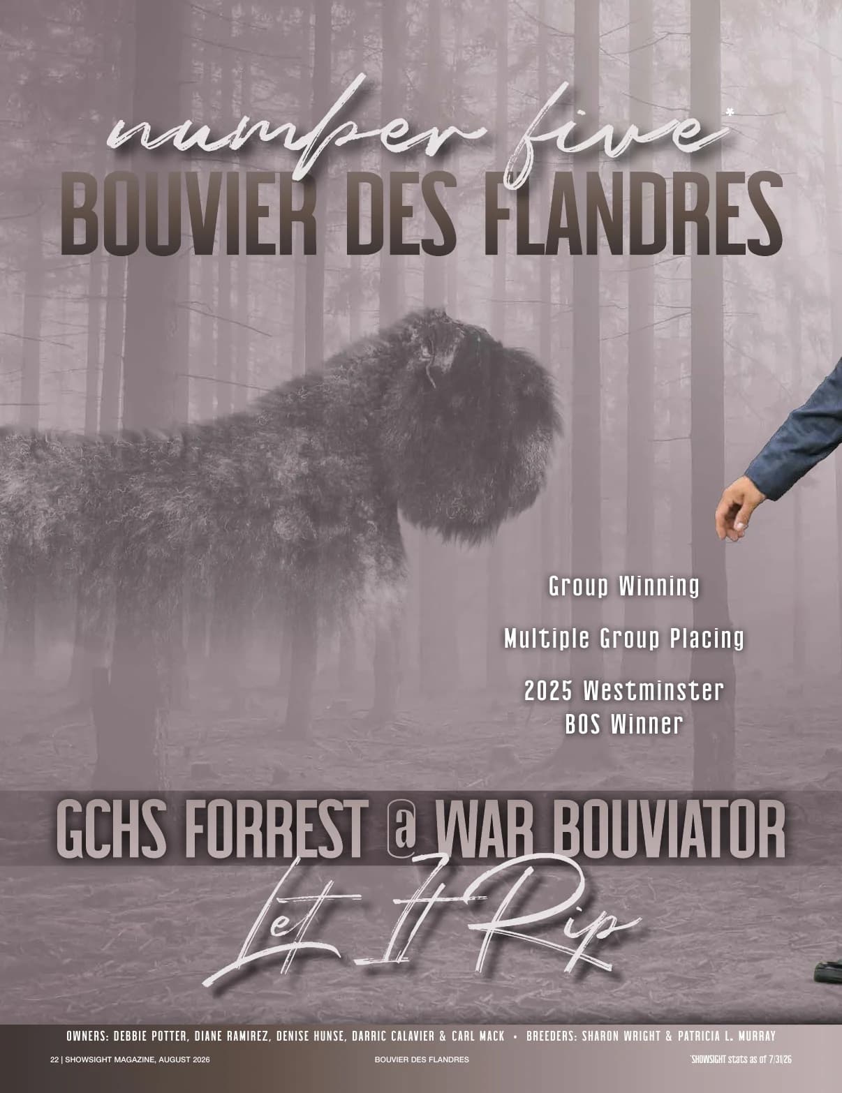 GCHB CH FORREST @ WAR BOUVIATOR LET IT RIP in Showsight Magazine | August 2026, page 26