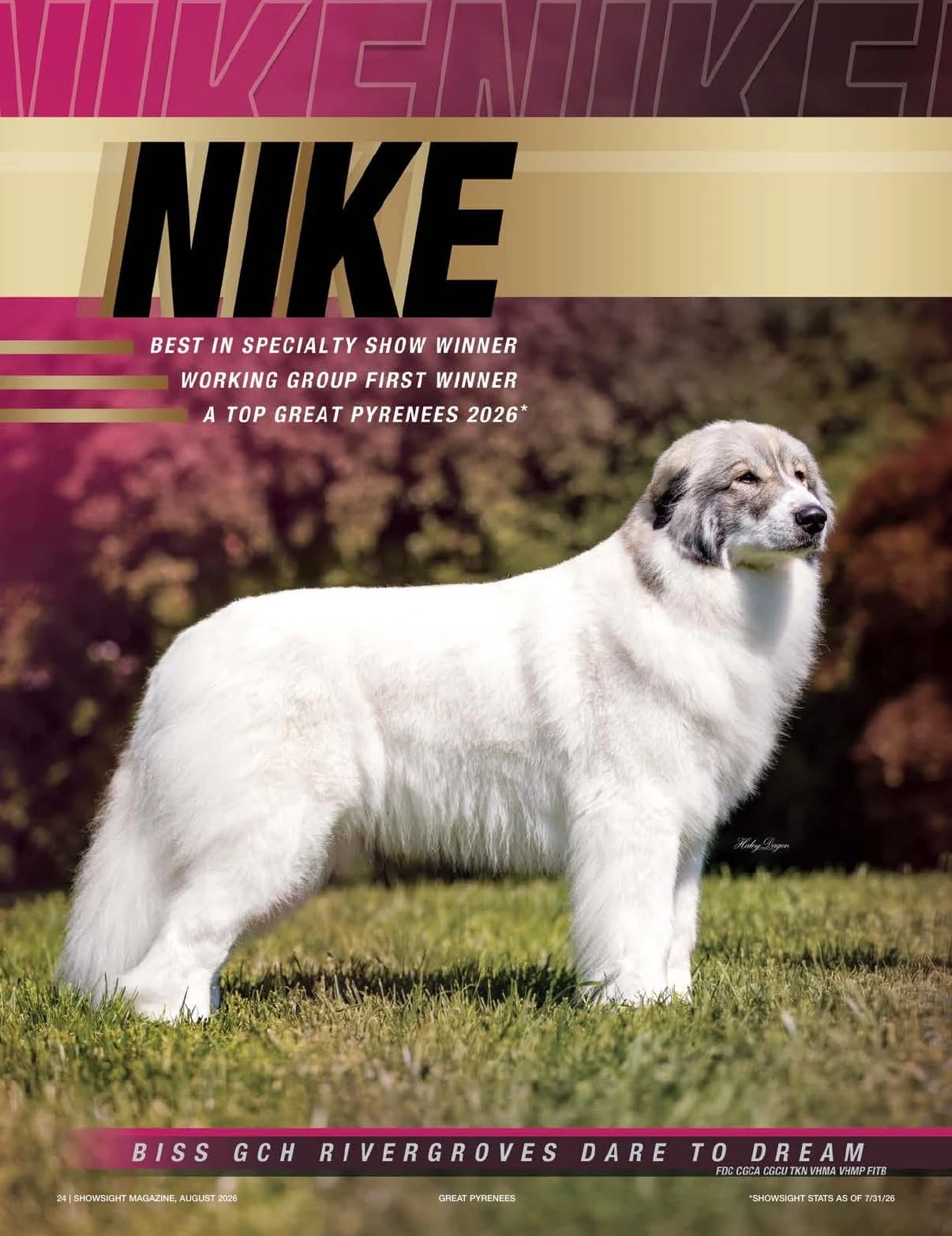 GCH RIVERGROVES DARE TO DREAM FDC CGCA CGCU TKN VHMA VHMP FITB in Showsight Magazine | August 2026, page 28