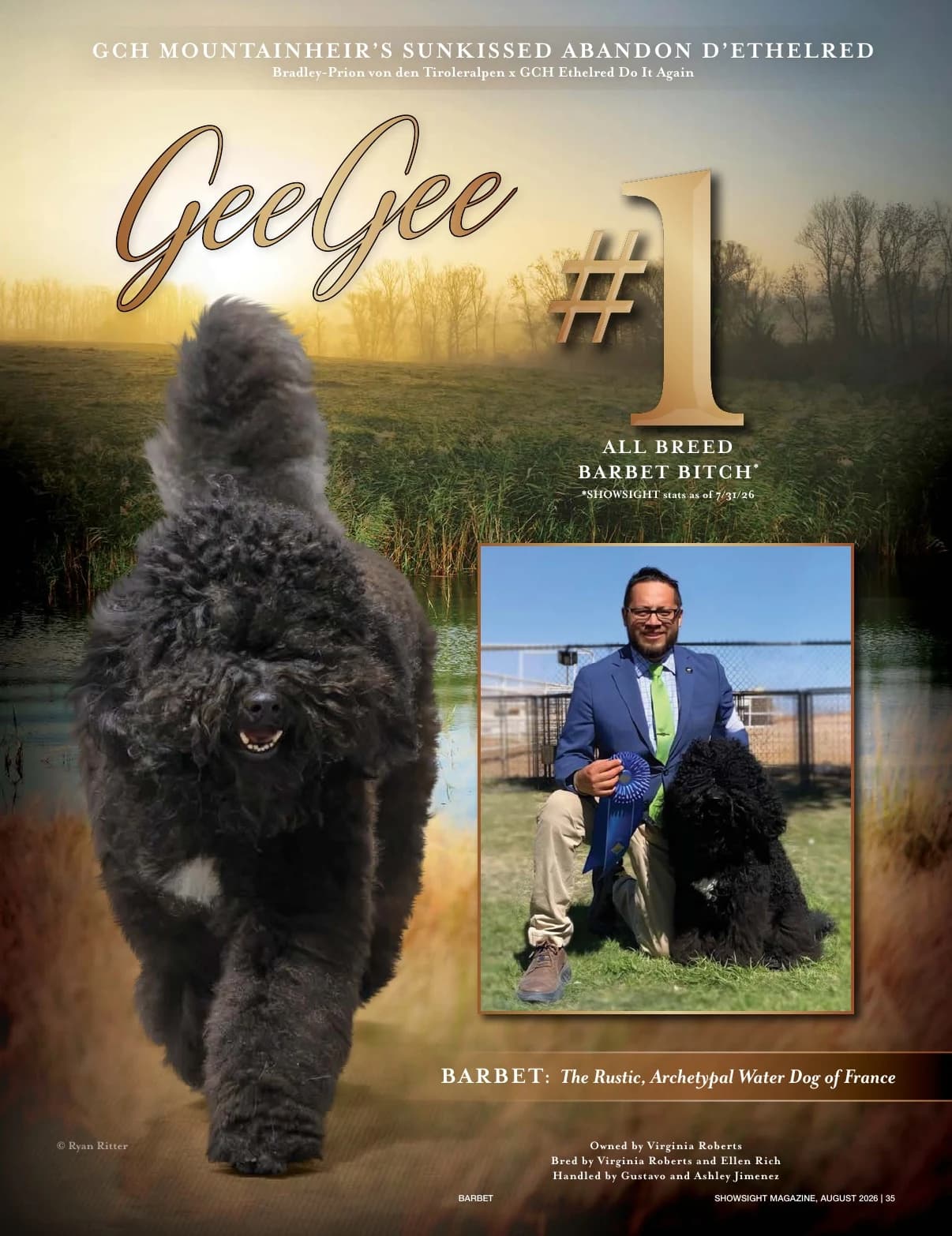 GCH MOUNTAINHEIR'S SUNKISSED ABANDON D'ETHELRED in Showsight Magazine | August 2026, page 39