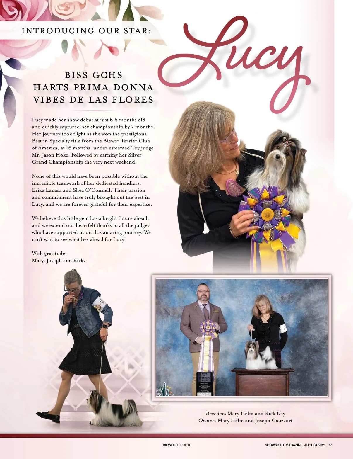 GCHS CH HART'S PRIMA DONNA VIBES FOR DE LAS FLORES in Showsight Magazine | August 2026, page 81