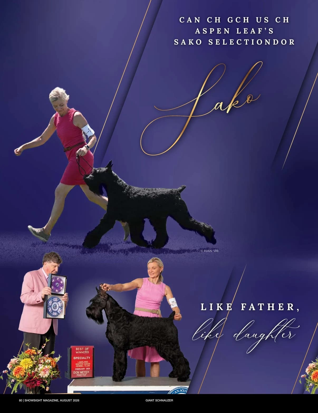 CH ASPEN LEAF'S SAKO SELECTIONDOR in Showsight Magazine | August 2026, page 84
