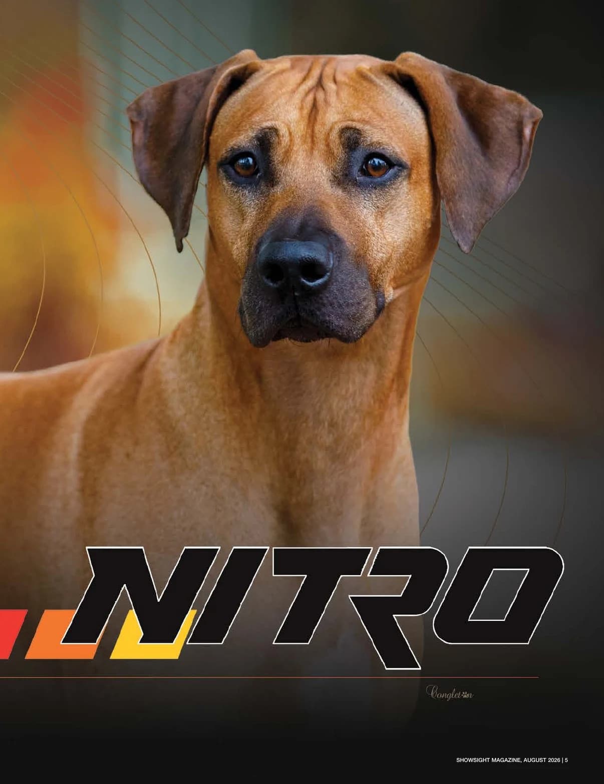 GCHG DC WALKER & IVYLEAGUE'S V-POWER NITRO PLUS CGCA SC TKN in Showsight Magazine | August 2026, page 9