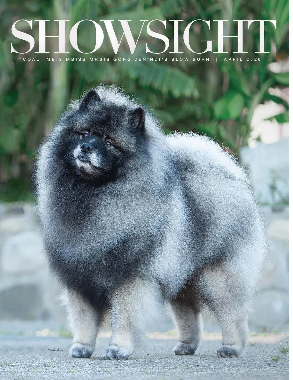 Showsight Magazine | April 2026 cover