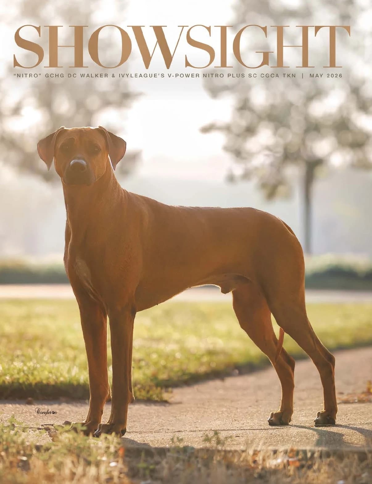 Showsight Magazine | May 2026 cover