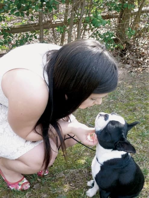 The Boston Terrier Standard