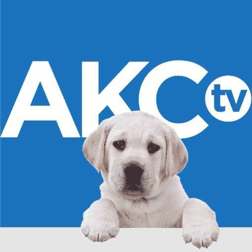 AKC.TV Announces New Hosts of ‘AKC Dogcenter’ and ‘Ask The Expert’