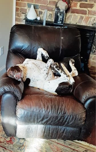 How to judge Pointers?