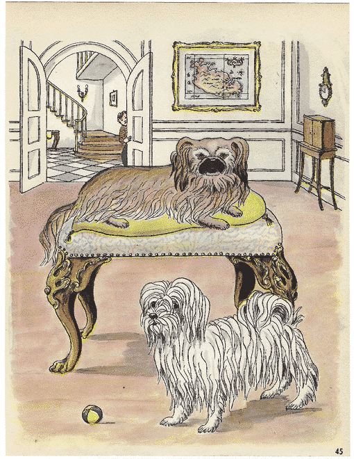 Collecting Dog Show Memorabilia