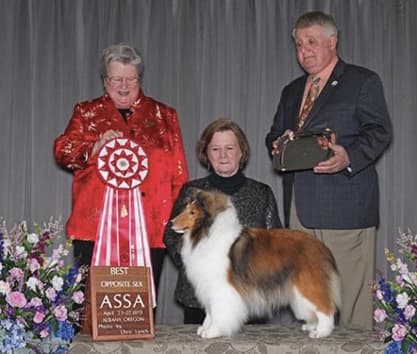 Remembering Julie Desy