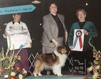 Remembering Julie Desy