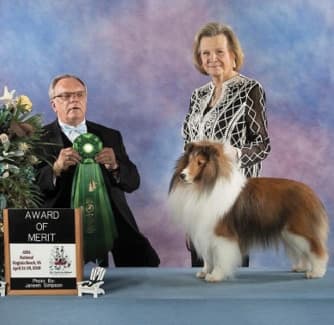 Remembering Julie Desy