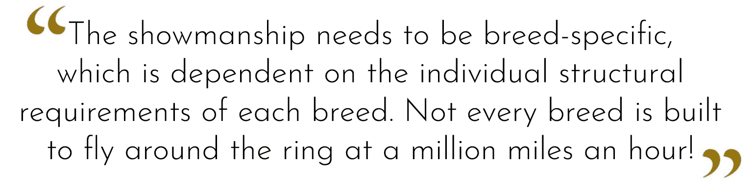 Why I love a Non-Sporting Group Dog