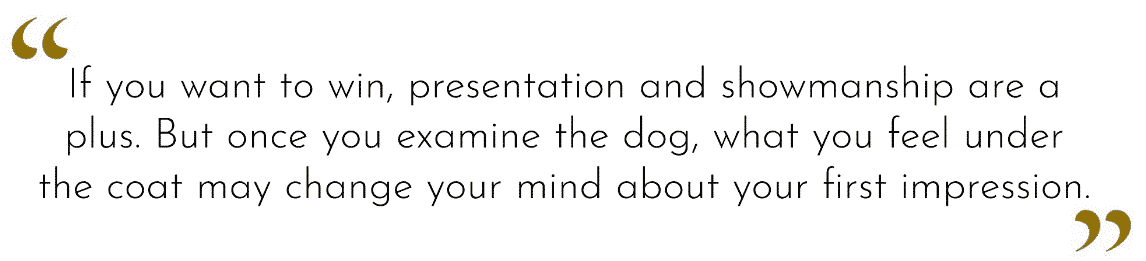 Why I love a Non-Sporting Group Dog