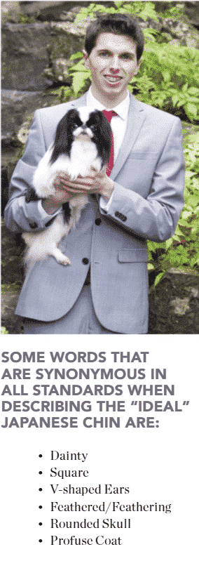 Japanese Chin | All HYPE but where’s the TYPE?