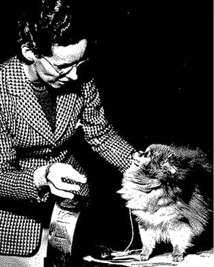 The Journey of Ruth Beam