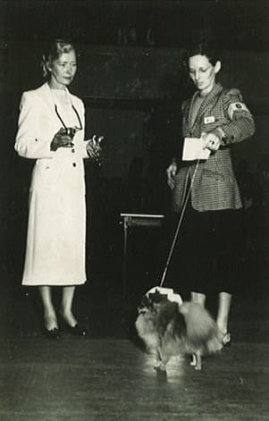 The Journey of Ruth Beam
