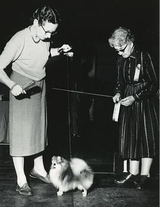 The Journey of Ruth Beam