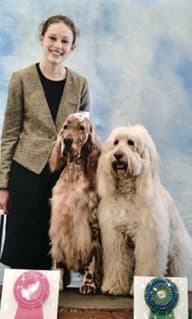 Purebred Dogs Junior Handlers Picture Of A Girl With Her Purebred Dog