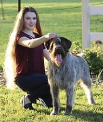Purebred Dogs Junior Handlers Picture Of A Girl With Her Purebred Dog