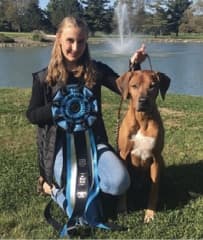  Junior Handlers Picture Of A Girl With Her Purebred Dog