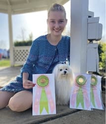 Purebred Dogs Junior Handlers Picture Of A Girl With Her Purebred Dog