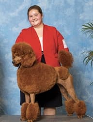 Purebred Dogs Junior Handlers Picture Of A Girl With Her Purebred Dog