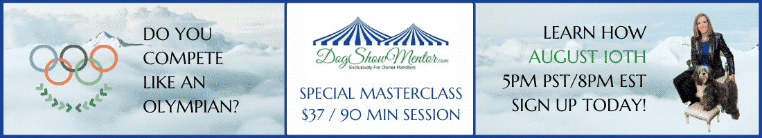 Take Control of your Dog | Showing for the Long-Term
