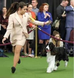 Junior Handlers Picture Of A Girl With Her Dog