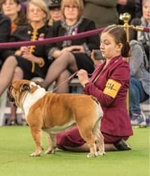 Junior Handlers Picture Of A Girl With Her Dog