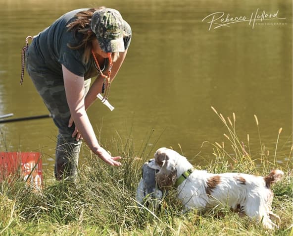 Cocker Spaniel Judging Guide 