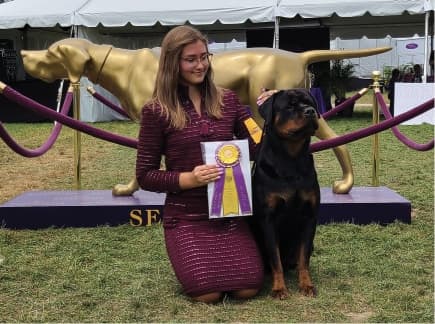 Garden Breeds & Varieties | Owner-Handled Dogs Are Among WKC Best of Breed Winners