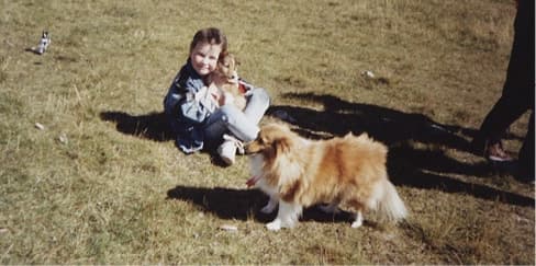 In Search of the Last Shetland Sheepdog Breeders