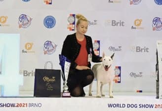 FCI World Dog Show Brno 2021