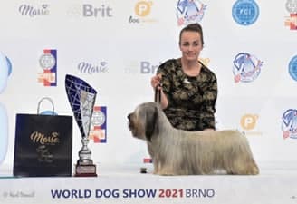 FCI World Dog Show Brno 2021