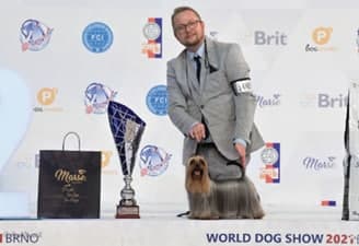 FCI World Dog Show Brno 2021