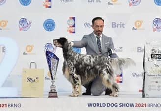 FCI World Dog Show Brno 2021