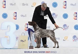 FCI World Dog Show Brno 2021