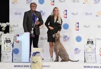 FCI World Dog Show Brno 2021