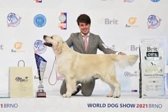 FCI World Dog Show Brno 2021