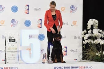 FCI World Dog Show Brno 2021
