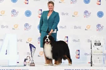 FCI World Dog Show Brno 2021