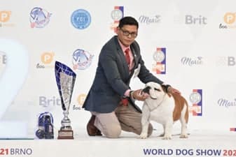 FCI World Dog Show Brno 2021